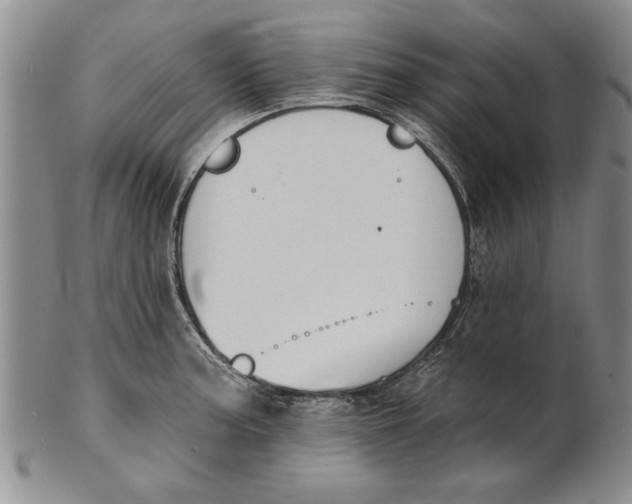 X0000100751187200807101656