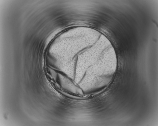 X0000100751188200807101656