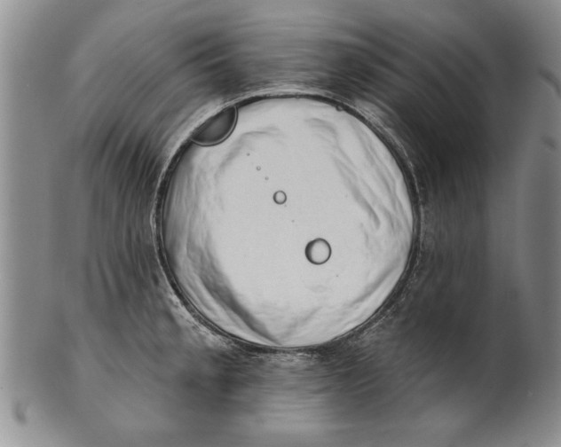 X0000100751189200807101656