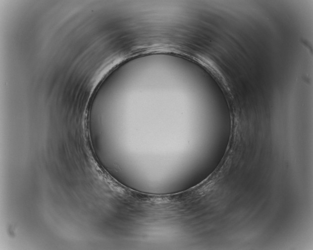 X0000100751190200807101656