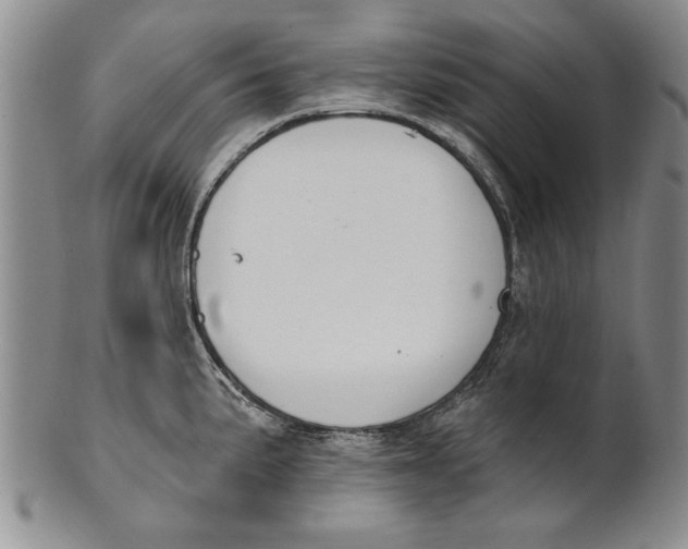 X0000100751191200807101656