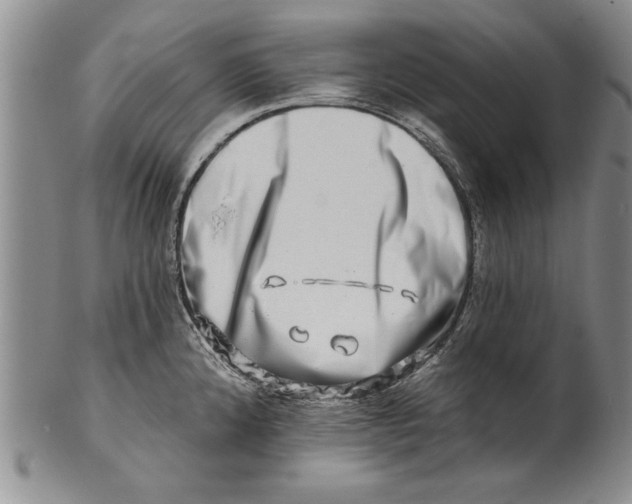 X0000100751192200807101656