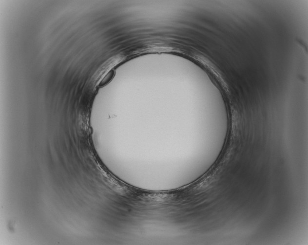 X0000100751193200807101656