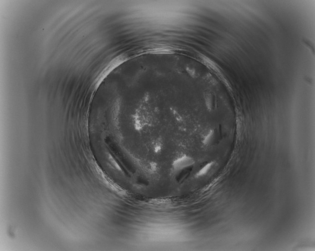 X0000100751194200807101656