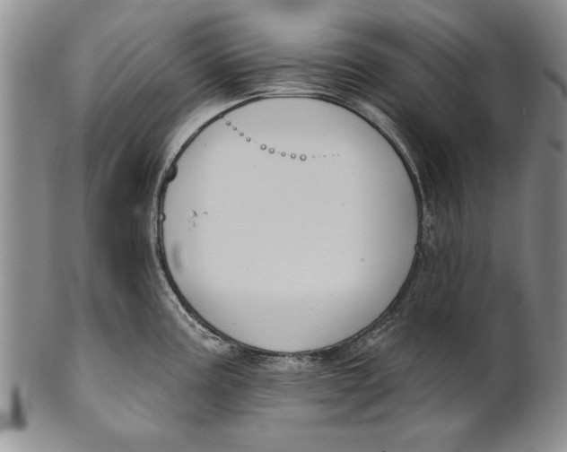 X0000100751195200807101656