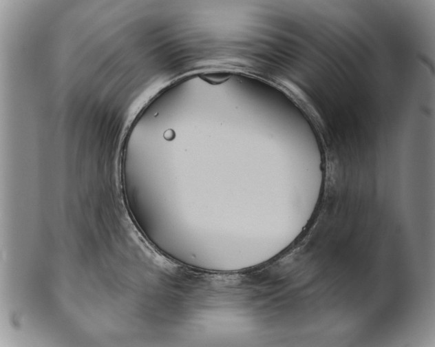 X0000100751196200807101656