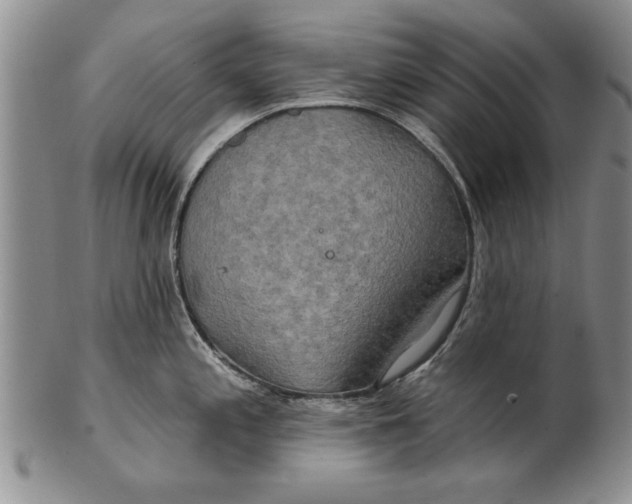 X0000100751197200807101656