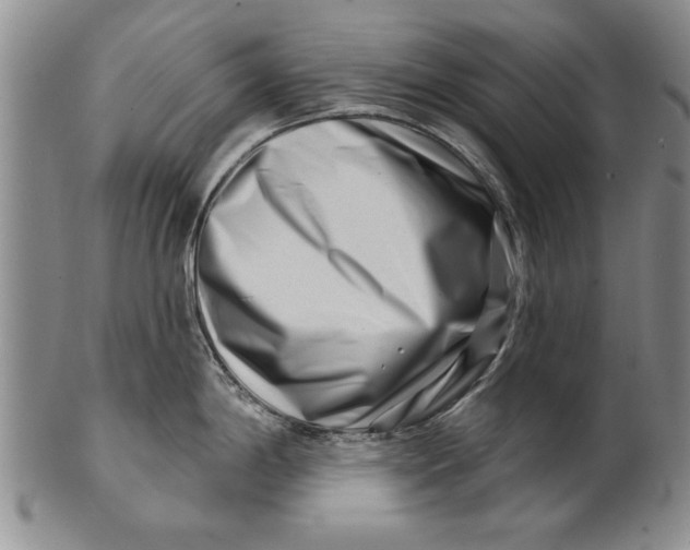 X0000100751198200807101656