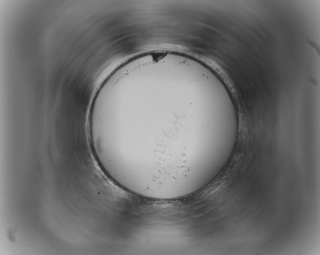 X0000100751199200807101656