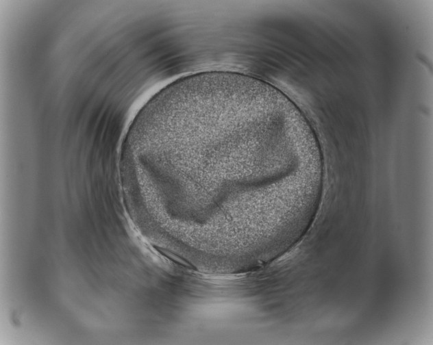 X0000100751200200807101656