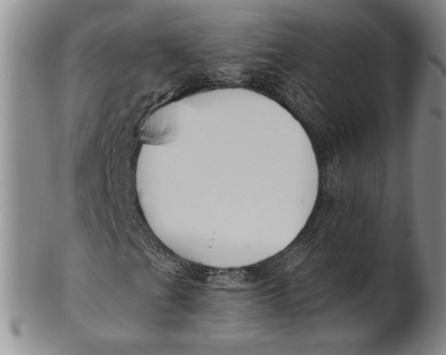 X0000100751201200807101655