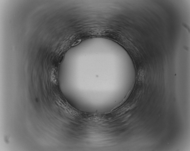 X0000100751202200807101655