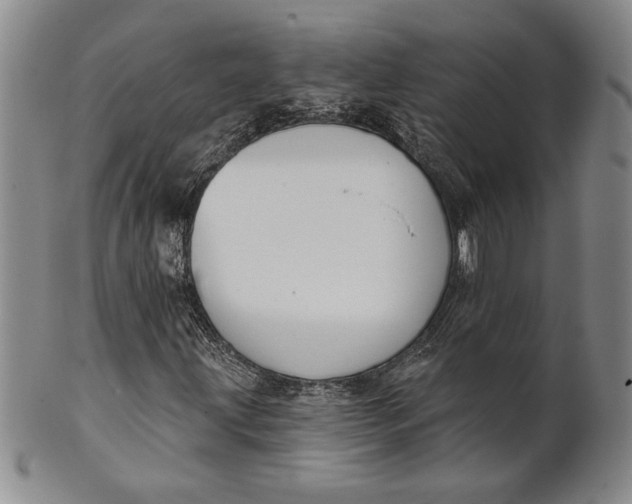 X0000100751203200807101655