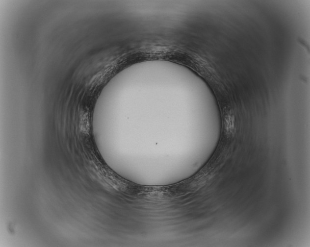 X0000100751204200807101655