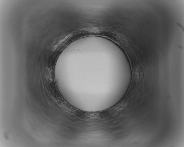 X0000100751205200807101655