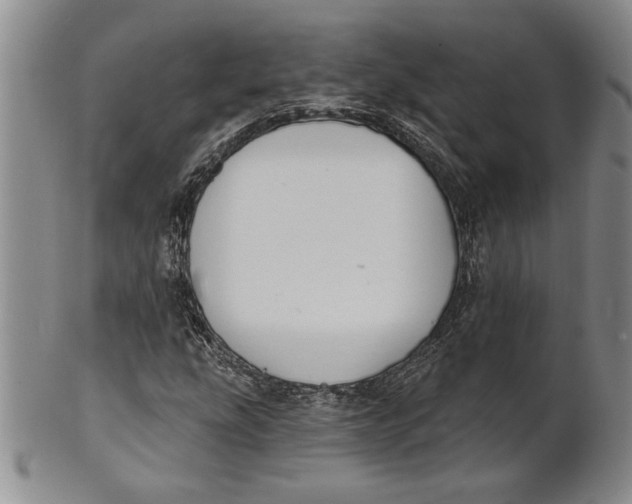 X0000100751207200807101655