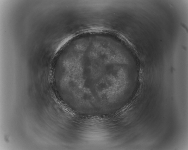 X0000100751208200807101655