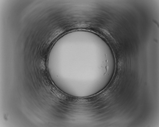 X0000100751209200807101655