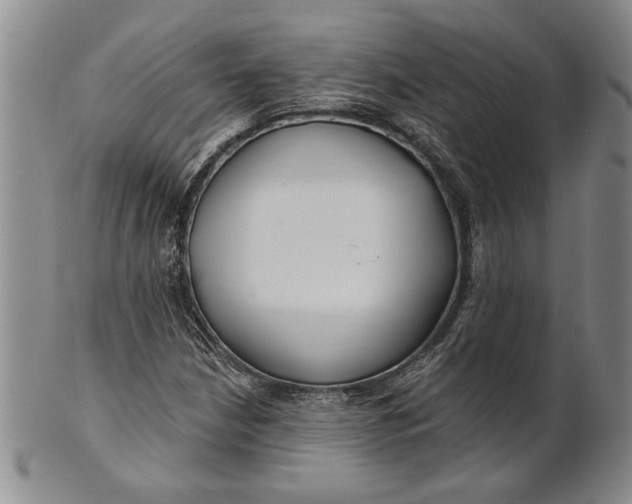 X0000100751210200807101655