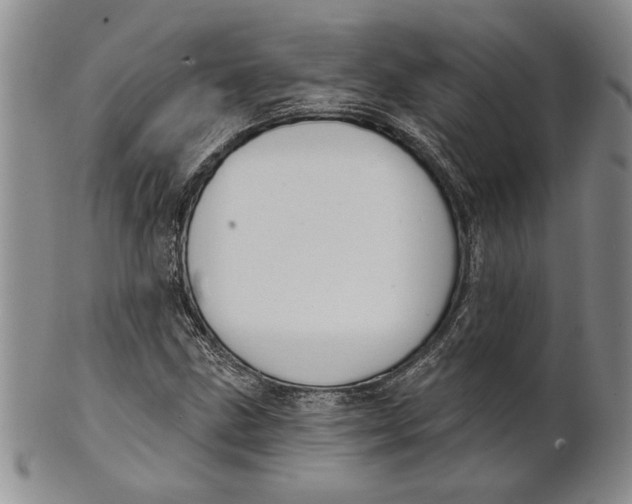 X0000100751211200807101655