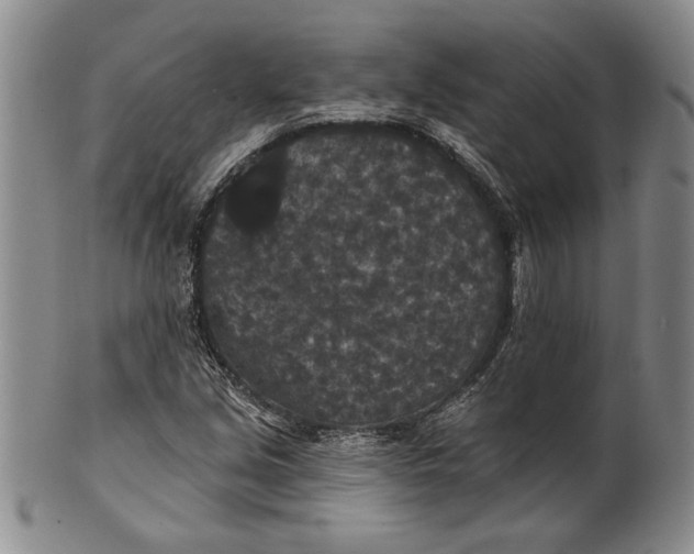 X0000100751213200807101655