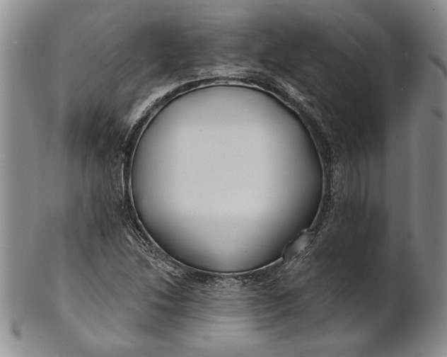 X0000100751214200807101655