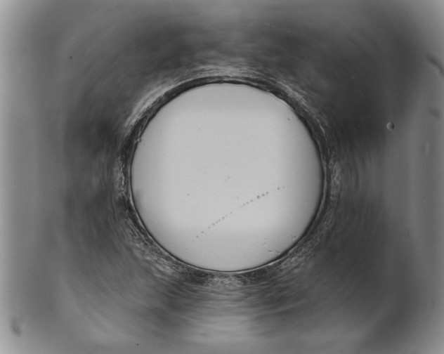 X0000100751215200807101655