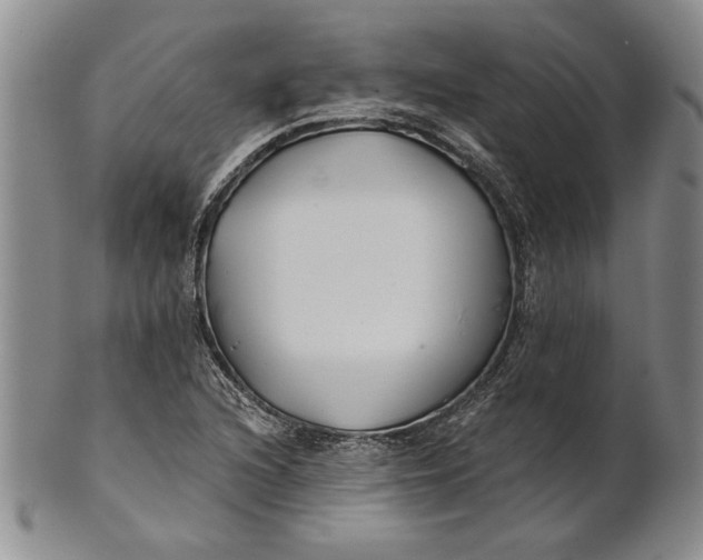 X0000100751216200807101655