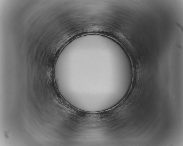 X0000100751217200807101655