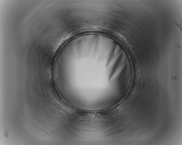 X0000100751218200807101655