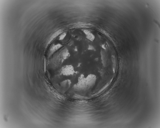 X0000100751219200807101655