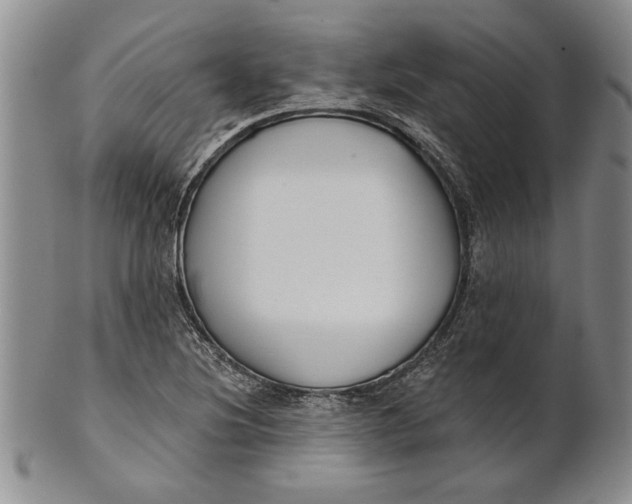 X0000100751220200807101655