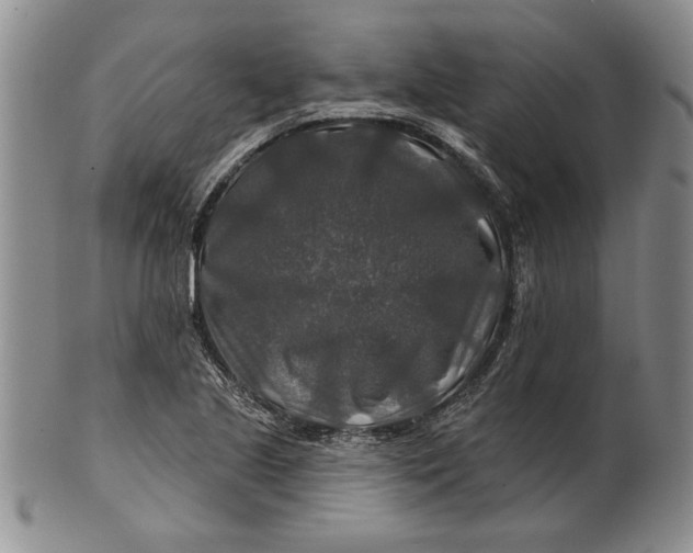 X0000100751221200807101655