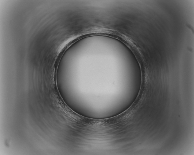 X0000100751222200807101655