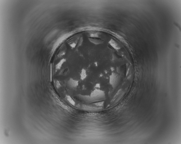 X0000100751223200807101655