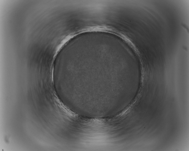 X0000100751224200807101655