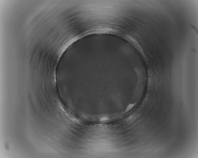 X0000100751226200807101655