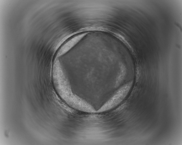 X0000100751228200807101655