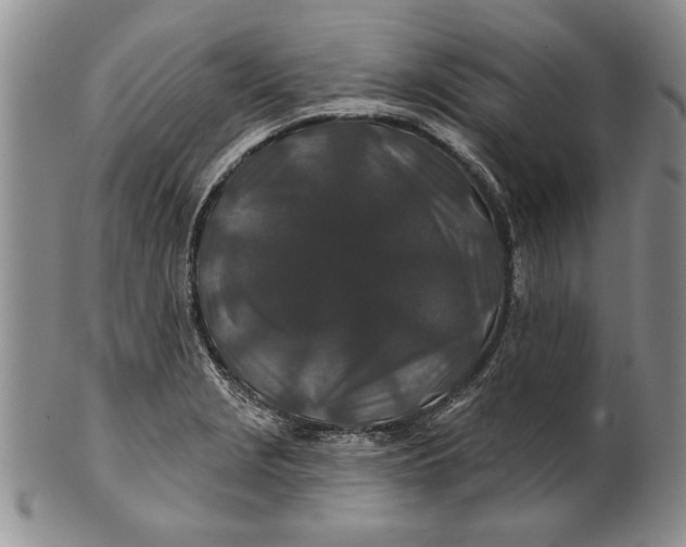 X0000100751229200807101655