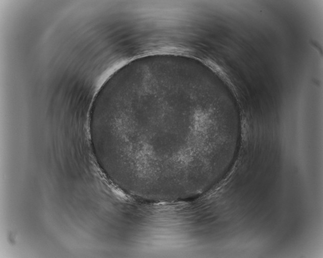 X0000100751230200807101655