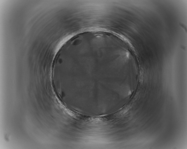 X0000100751231200807101655