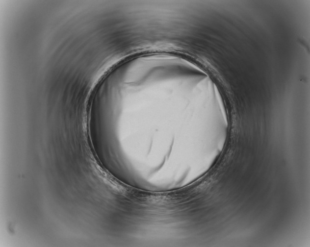 X0000100751232200807101655