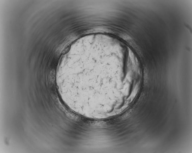 X0000100751233200807101655