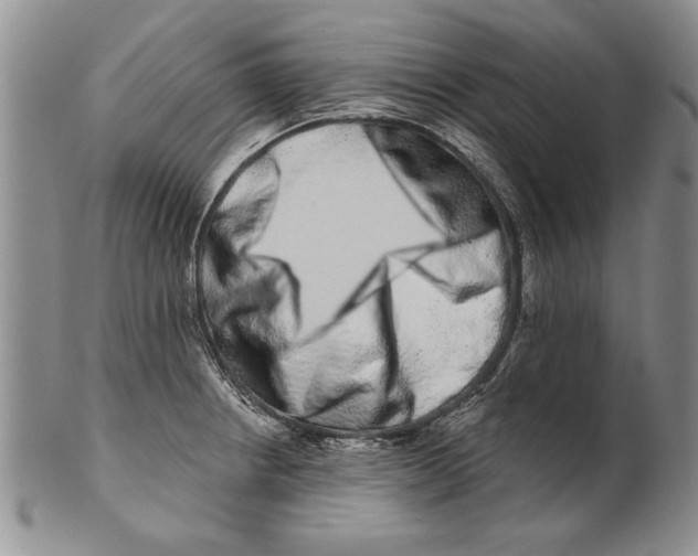 X0000100751234200807101655