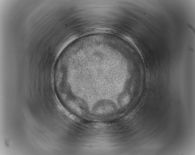 X0000100751235200807101655