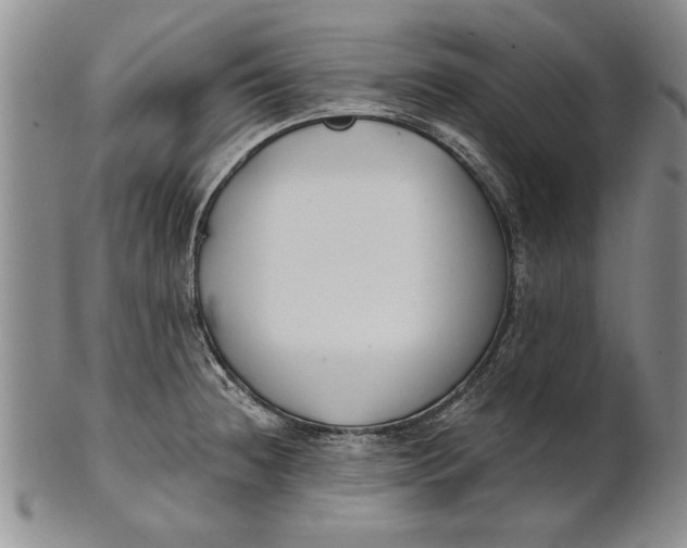 X0000100751236200807101655