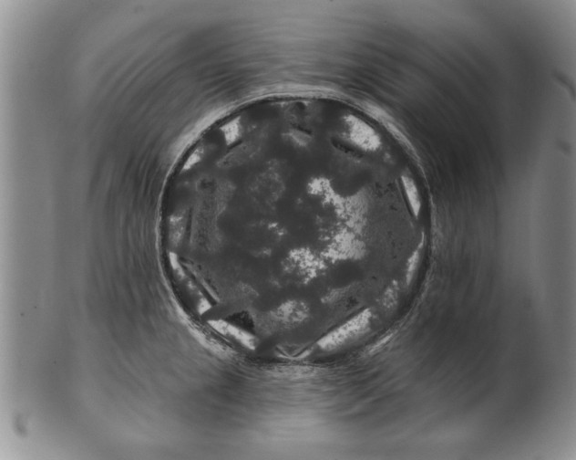 X0000100751237200807101655