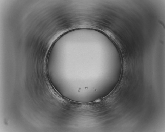 X0000100751238200807101655