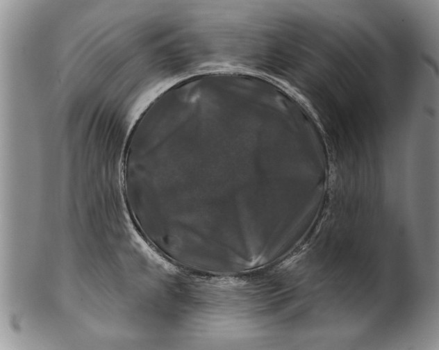 X0000100751239200807101655