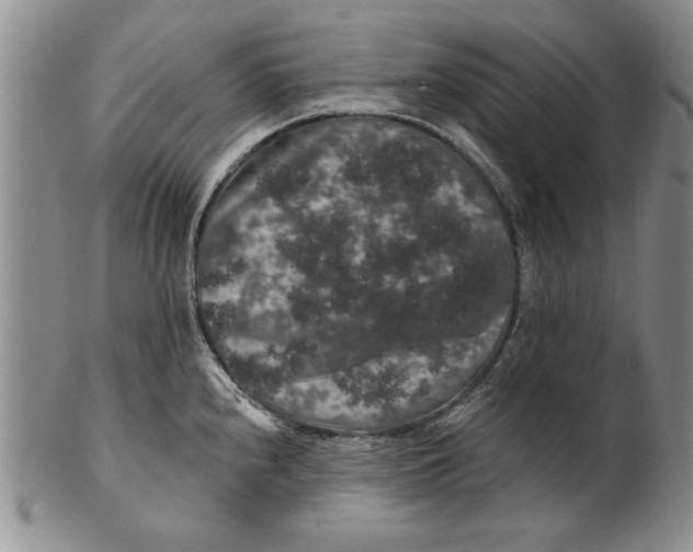 X0000100751240200807101655